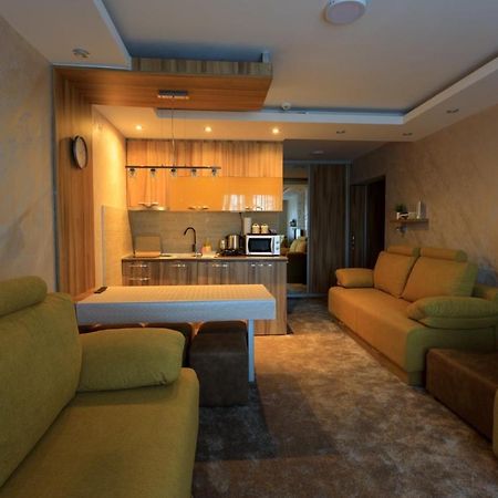 Apartments Andrejic كوباونيك المظهر الخارجي الصورة